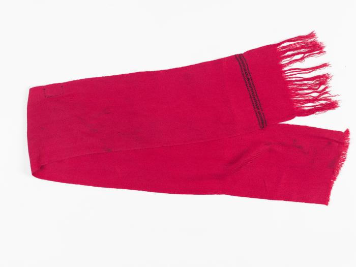 ΖΩΝΑΡΙ ΠΑΡΑΔΟΣΙΑΚΗΣ ΦΟΡΕΣΙΑΣ ΗΠΕΙΡΟΥ ΠΑΙΔΙΚΟ