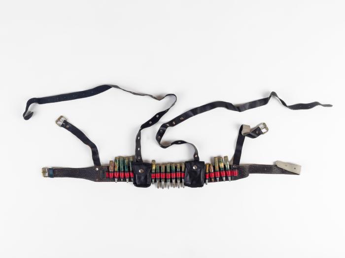 ΖΩΝΗ ΜΕ ΦΥΣΙΓΓΙΟΘΗΚΕΣ